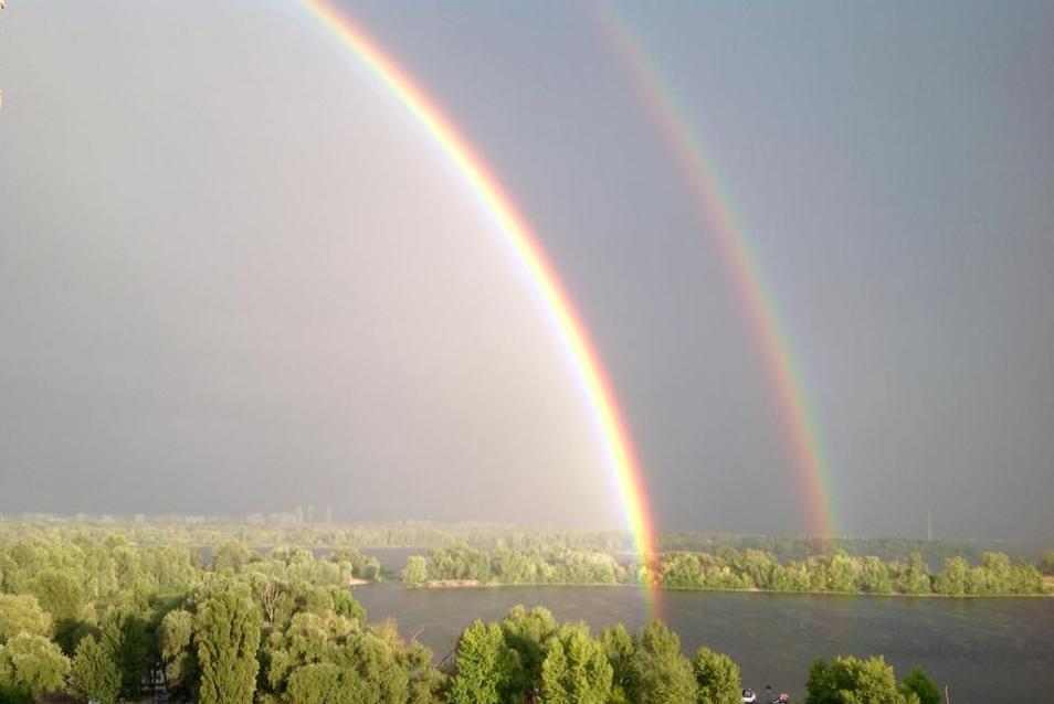 «Небо провалилось»: дожди с грозами продолжают терроризировать Черниговщину
