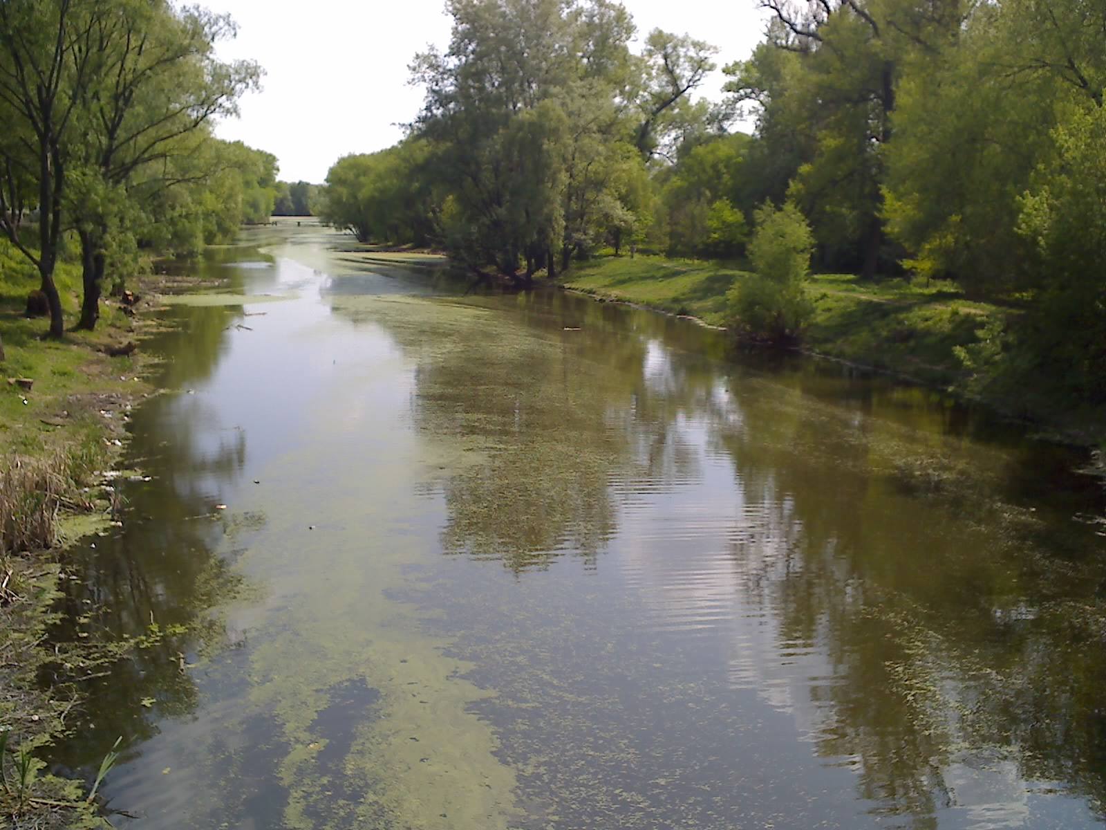 Река Стрижень страдает от несанкционированных сбросов хозяйственно-бытовых сточных вод