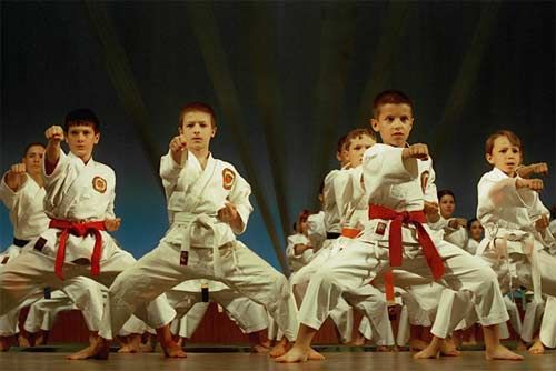 Майже 20 різних шкіл єдиноборств продемонструють свою майстерність на Фестивалі бойових мистецтв