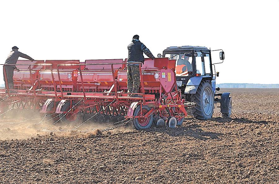 На Чернігівщині попит на зерно потребує збільшення площ