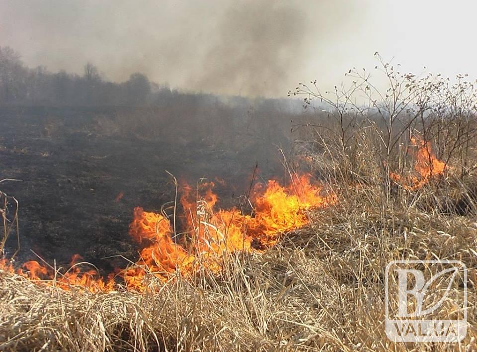 Пожежа, пожежа! Чернігівщина продовжує потерпати від вогню