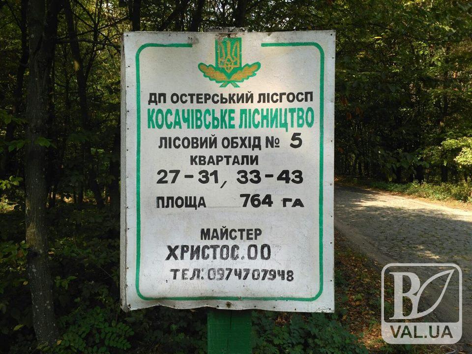 Ліси на Чернігівщині охороняє Христос. ФОТОфакт