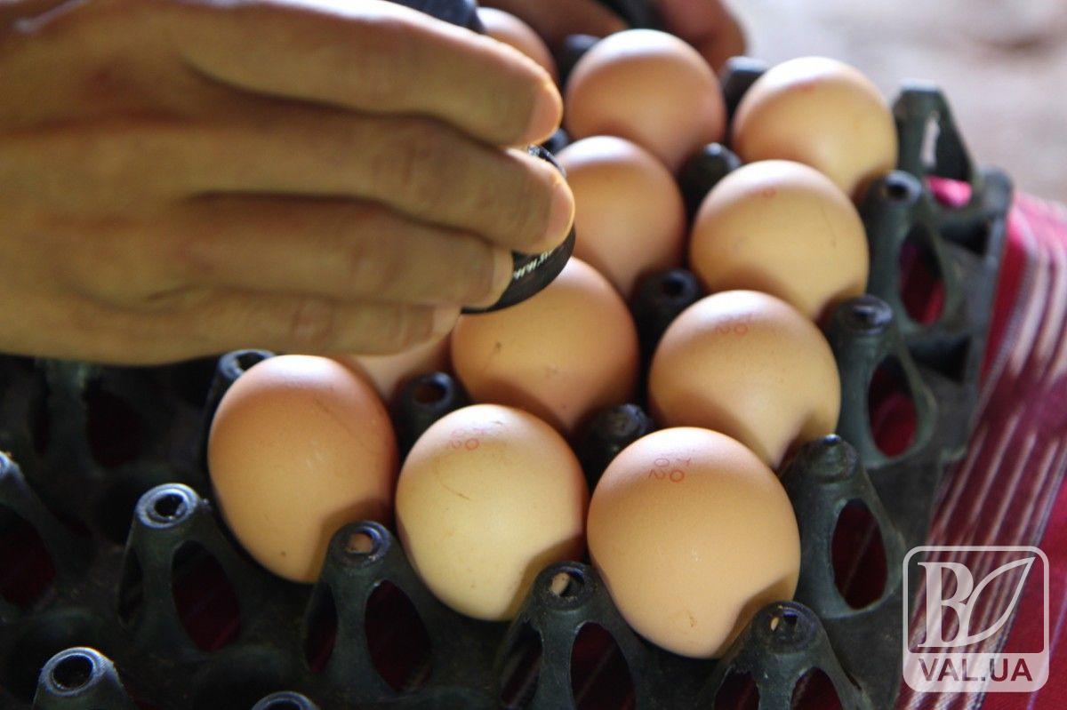 До Нового року ціни на яйця відчутно підскочать: прогнози експертів