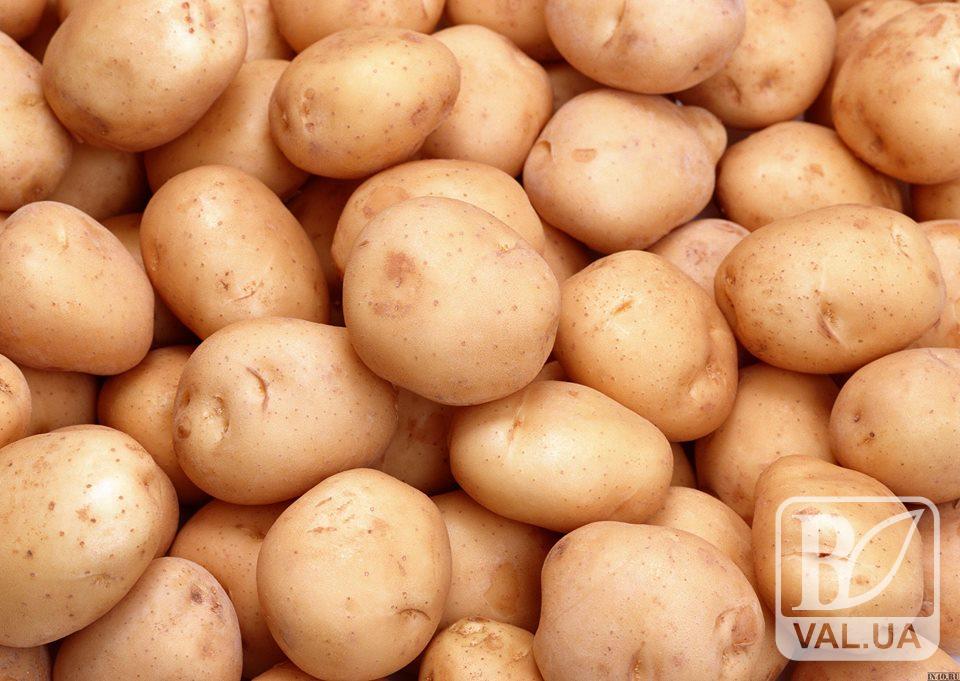 На Чернігівщині 52 тони єгипетської картоплі повернули додому
