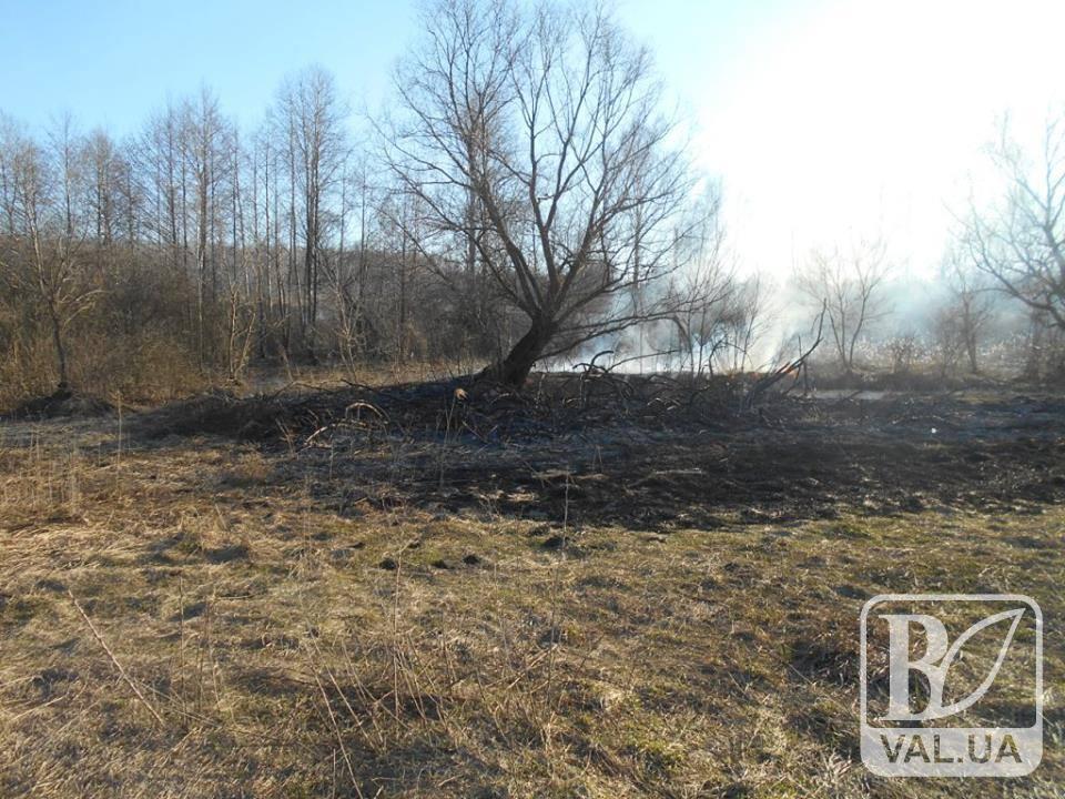 За минулу добу на Черінігівщині згоріло понад 3 гектари сухої трави