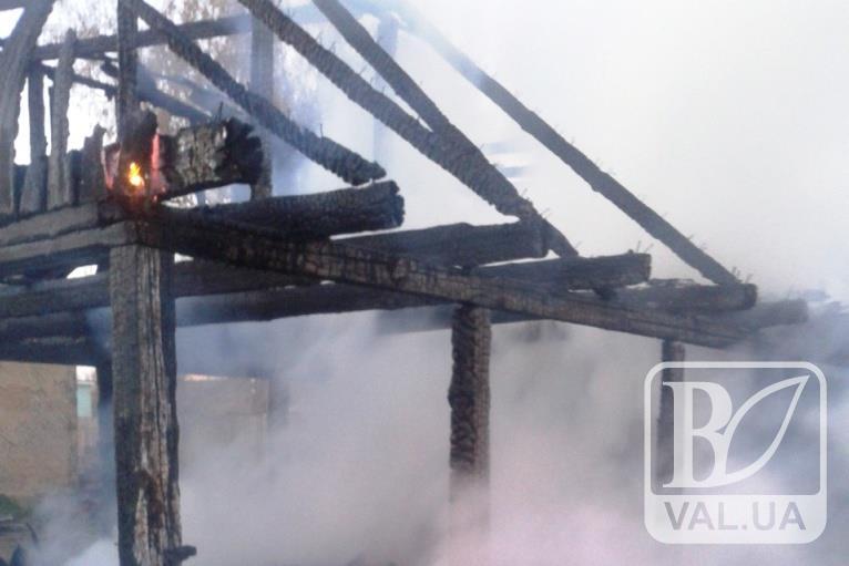 На Чернігівщині внаслідок дитячих пустощів з вогнем згоріло дві господарчі будівлі