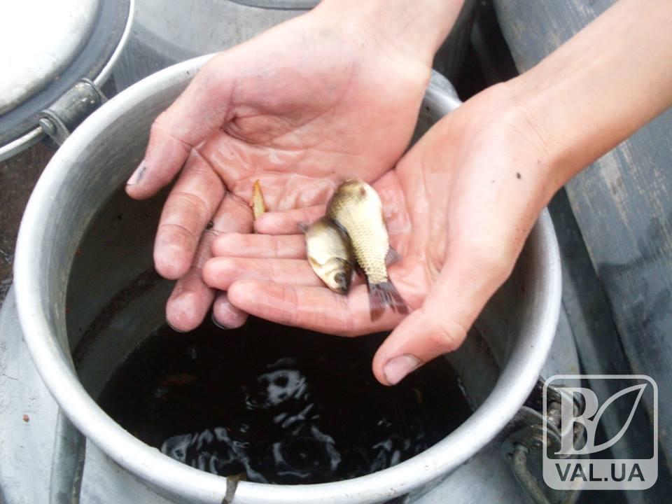 На Чернігівщині рятують молоду рибу. ФОТО