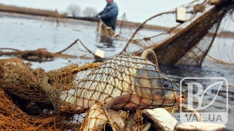  На Чернігівщині триває «полювання» на браконьєрів