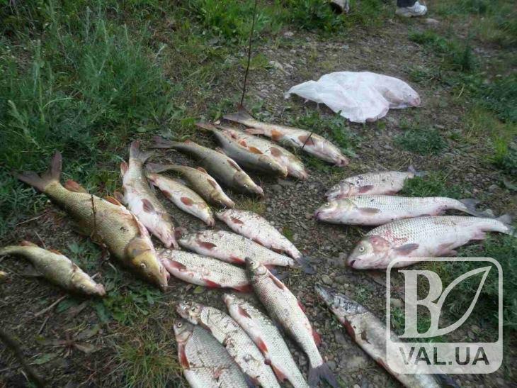 На Чернігівщині браконьєри «нарибалили» більше ніж на 15 тисяч гривень