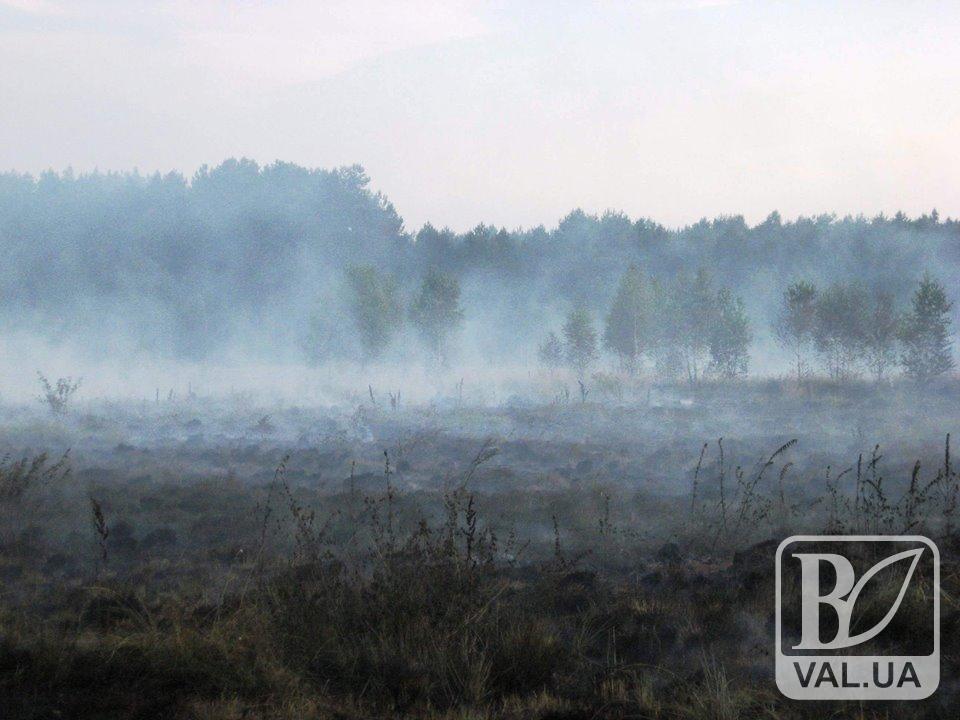 На Чернігівщині за останню добу вигоріло більше 15 гектарів сухої трави. ФОТО