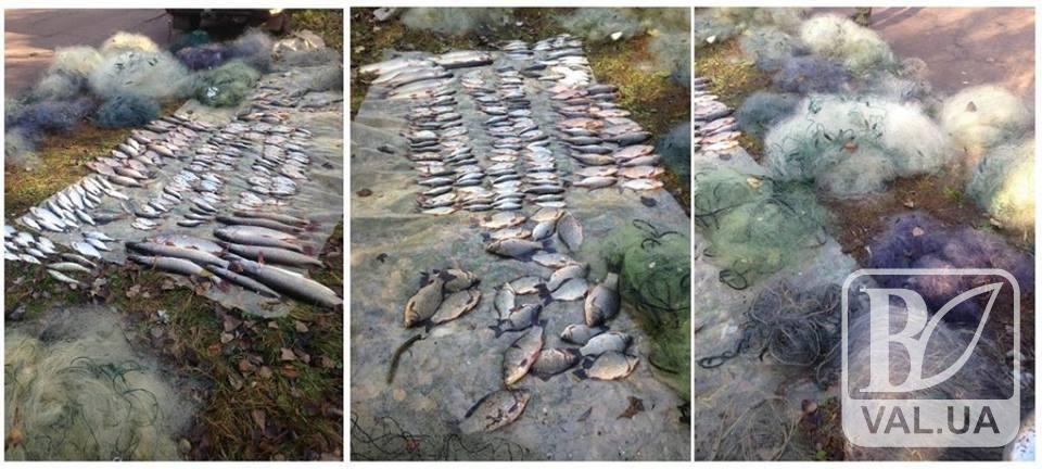 У Сосницькому районі затримали інспектора рибоохоронного патруля, який виловив риби майже на 25 тисяч