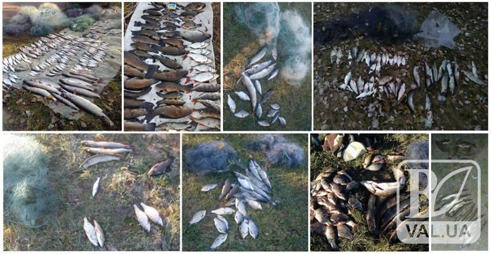 На Чернігівщині браконьєри завдали збитків рибному господарству на суму 50 тисяч гривень