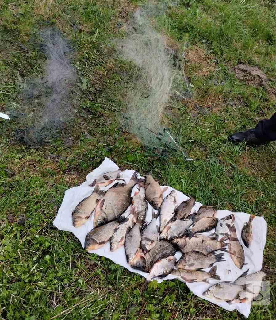  На Чернігівщині, під час нересту, браконьєри завдали збитків рибному господарству на понад 64 тисячі гривень