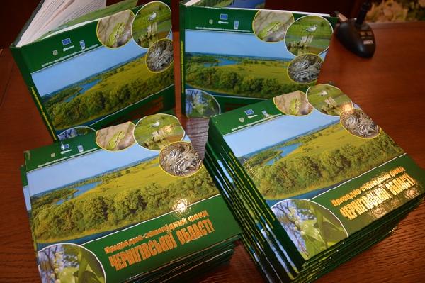 Мальовнича Чернігівщина,  або Новий спосіб заманювати туристів 