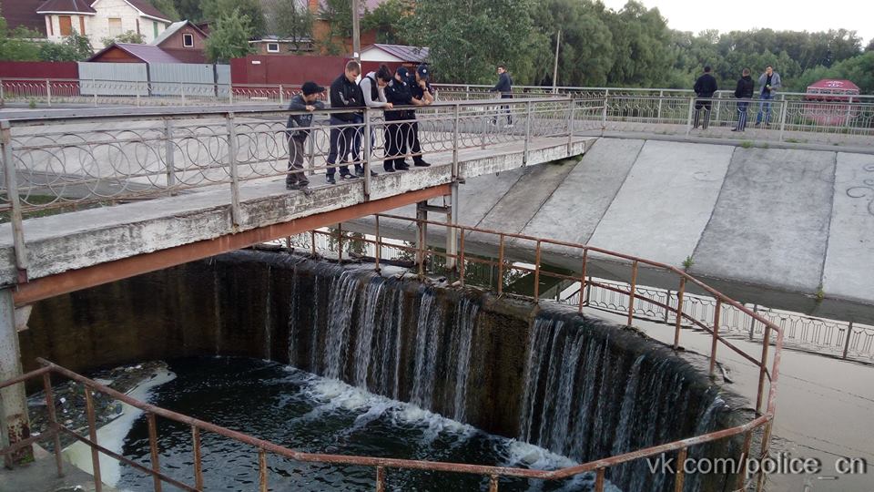 Спецоперація «врятувати черепаху», або Як чернігівська поліція тварину ловила
