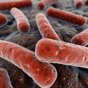 В чернігівському садочку вихователь працювала з відкритою формою туберкульозу