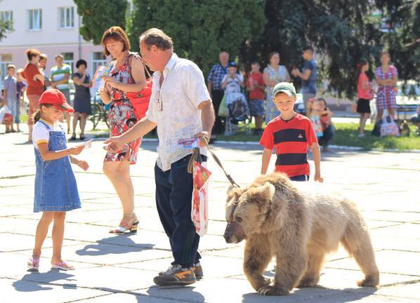 По центру Ніжина прогулювався ведмідь. ФОТОфакт
