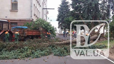 Величезна ялинка завалилася у центрі Чернігова. ФОТОфакт