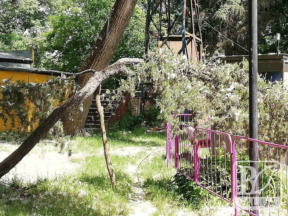 Для кого відкрився парк відпочинку: брутальне дитинство. ФОТО