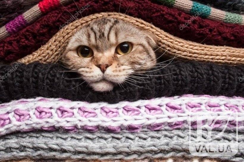 Холодний атмосферний фронт зібрався до нас у гості