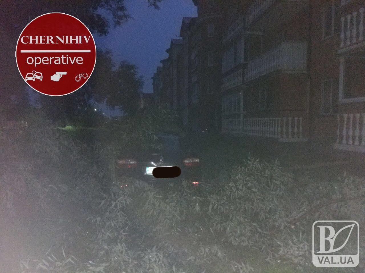 На Масанах дерево впало на машину. ФОТОфакт