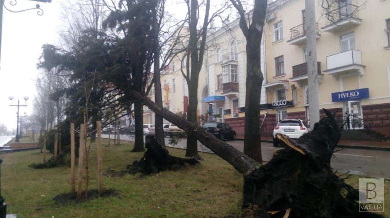 В Чернигове в результате урагана пострадали двое людей