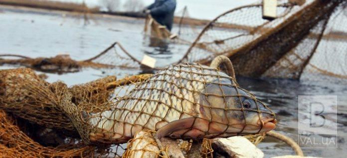 Попри нерестову заборону на Чернігівщині продовжують ловити браконьєрів