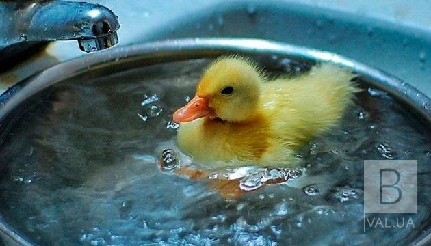 С мая в Чернигове начинаются профилактические отключения горячей воды: график