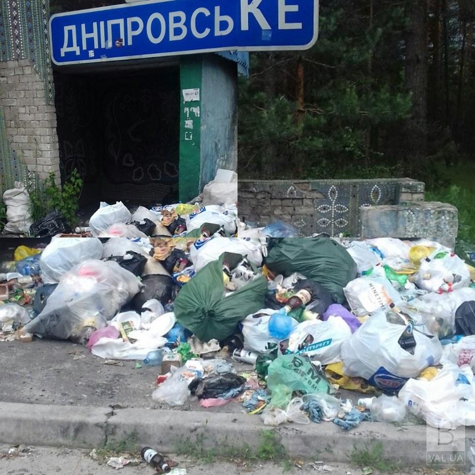На Черниговщине продолжают выявлять лиц, которые выбрасывают мусор на остановках. ФОТО