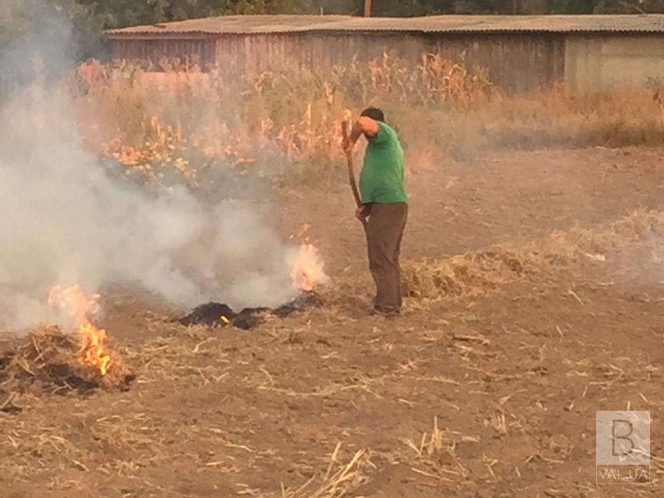 На Козелеччині під час рейду виявили вісьмох паліїв. ФОТО