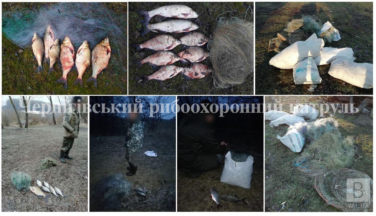 За тиждень у місцевих браконьєрів вилучили майже 100 кг незаконної риби