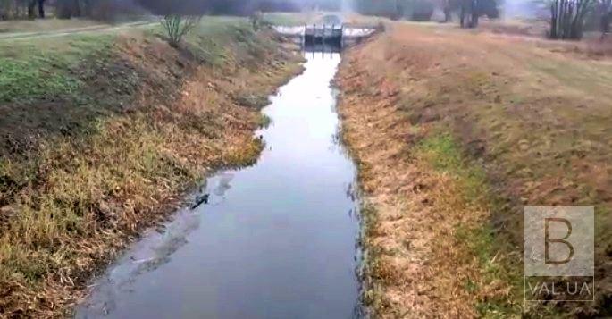 Многострадальная река Черниговщины может высохнуть ВИДЕО