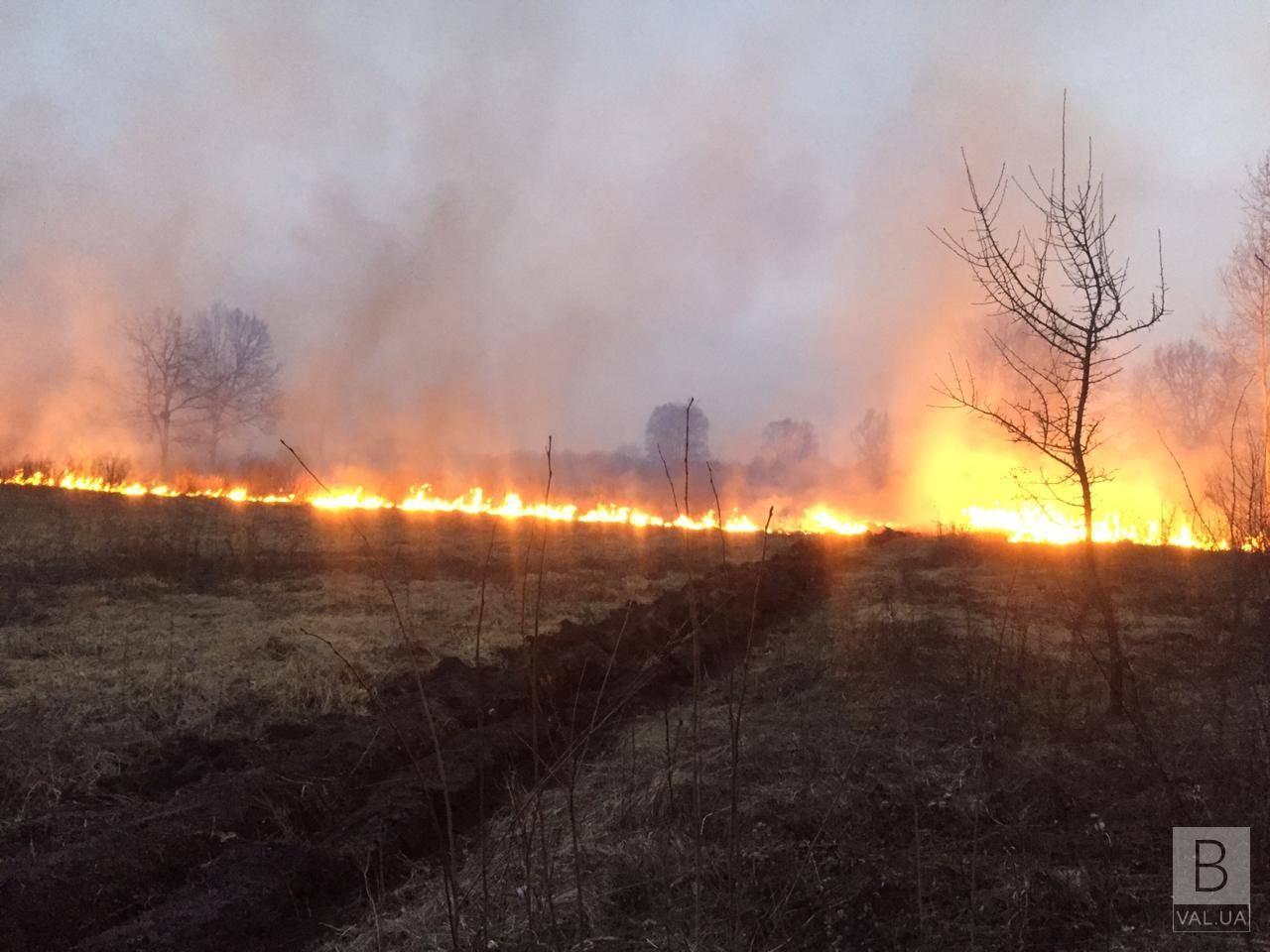 На Ніжинщині загорілося болото. ФОТО