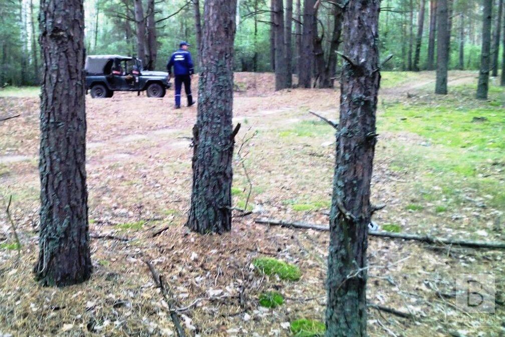 Єгер «Михалич» влаштував незабутні перегони з поліцією в лісі 