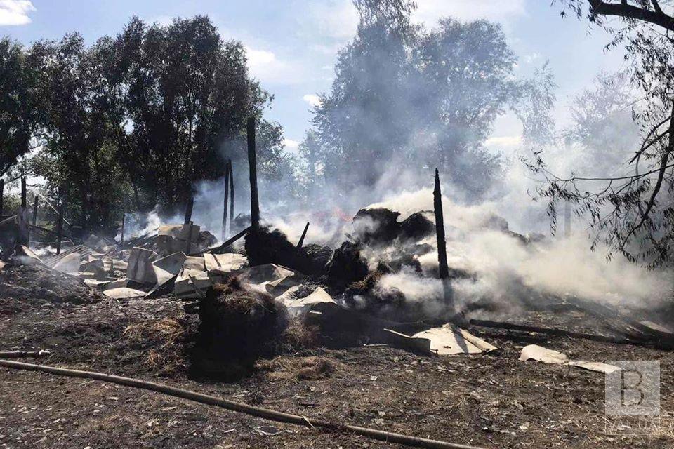 На Черниговщине через детские шалости с огнем сгорело 15 тонн грубых кормов