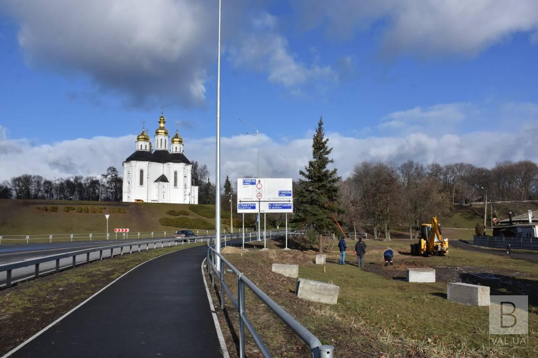 Не прижилася жодна з чотирьох 40-річних ялин, які пересадили на в’їзді до Чернігова