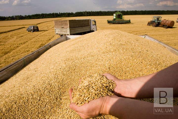 На Чернігівщині зібрали рекордний врожай зернових - майже 5 млн 30 тонн