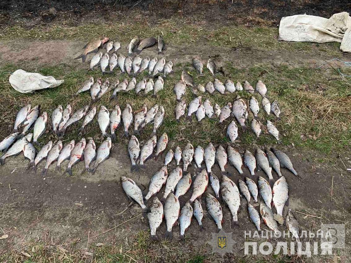 У браконьєра на Чернігівщині правоохоронці виявили сотню рибин