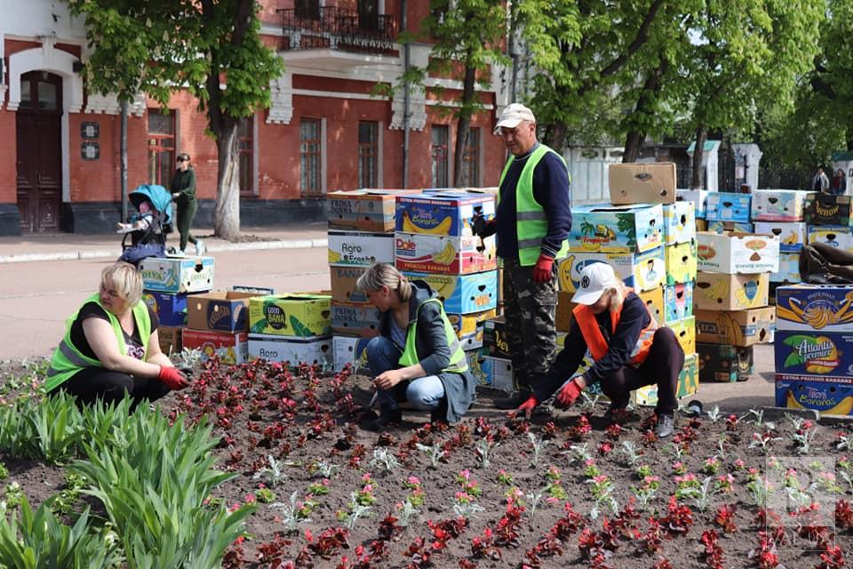 На найстаршій вулиці Ніжина висадять понад 4 тисячі квітів