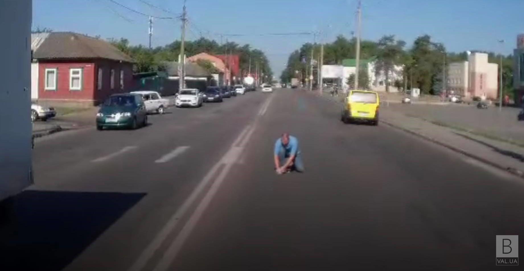  У Чернігові водій врятував кошеня на дорозі. ВІДЕОфакт