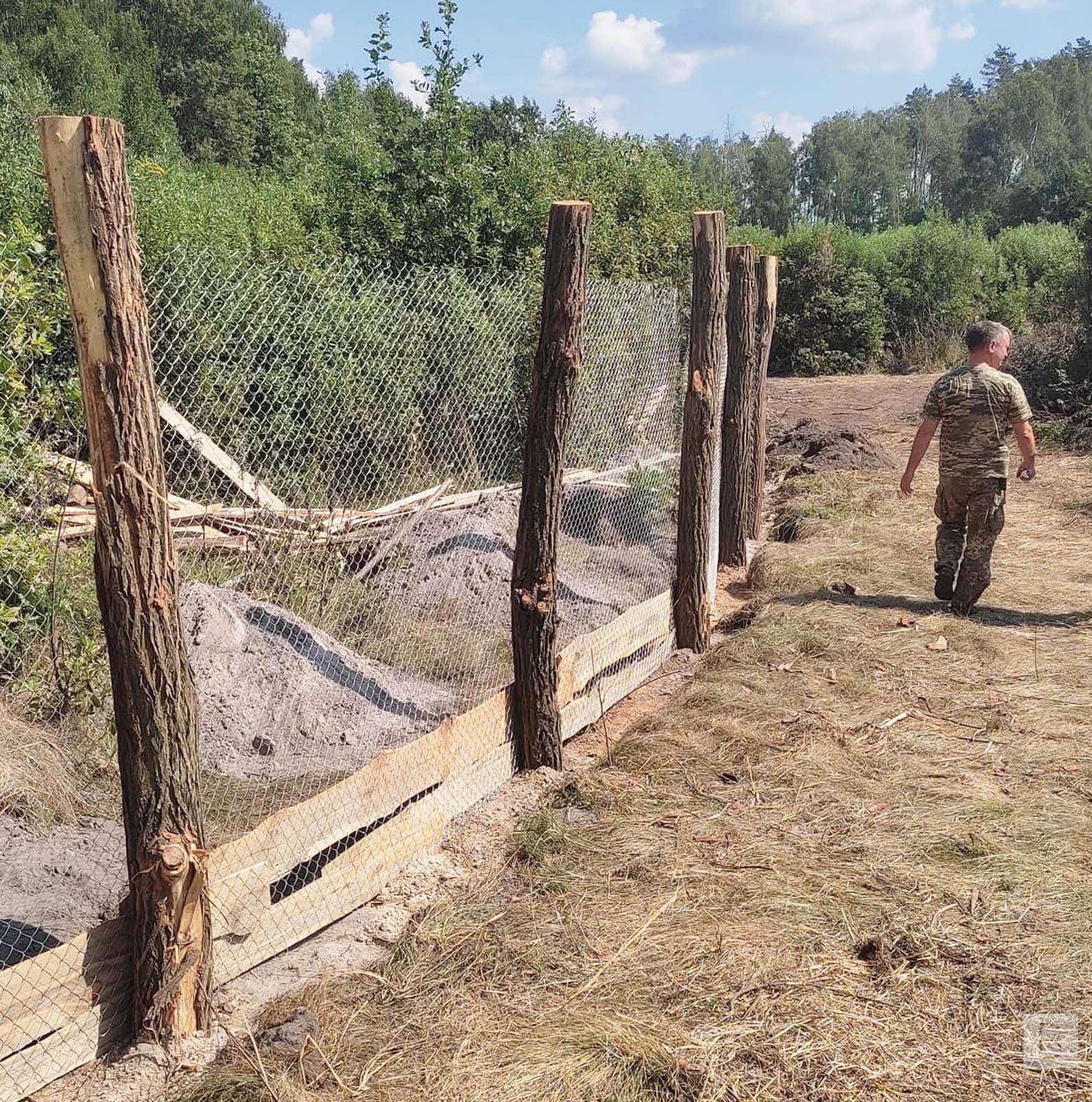 На Чернігівщині в одному з лісництв збудували вольєр для підсвинків