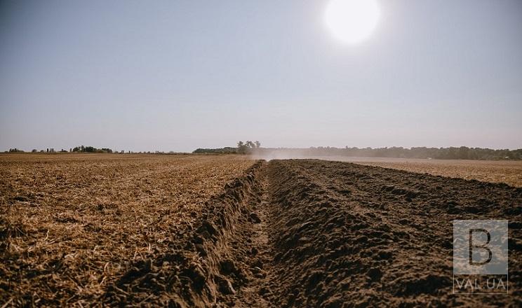 Не може зайти техніка: на Чернігівщині сівба озимих затримується через перезволоженість ґрунту