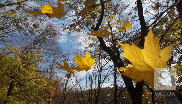 На Чернігівщині 27 листопада прогнозують посилення вітру та дощ