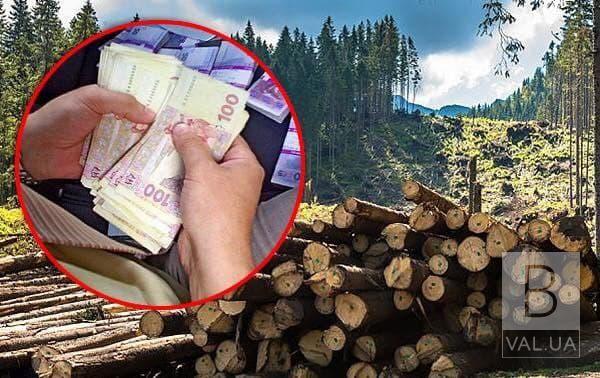 «Наш край» на Чернігівщині пропонує механізм збільшення прибутку від продажу деревини та поповнення бюджету області