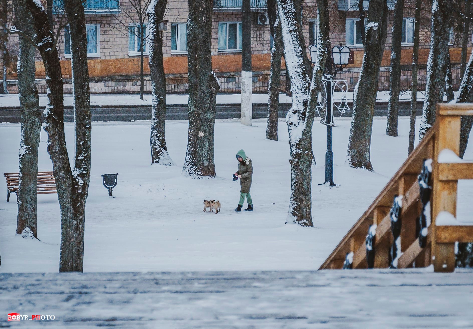 На Чернігівщині початок тижня буде морозним