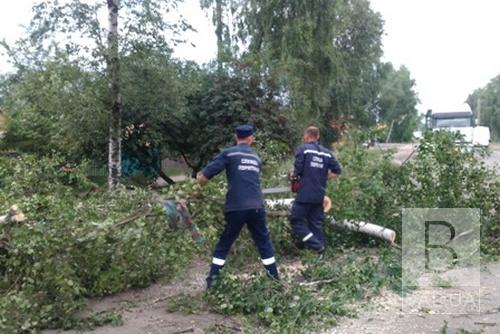 Без струму опинилися майже 68 тисяч осель: наслідки буревію, що пронісся Чернігівщиною