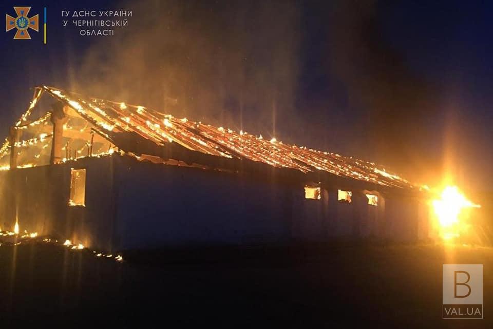 Через підпал на Чернігівщині згоріло 250 тонн пшениці. ФОТО