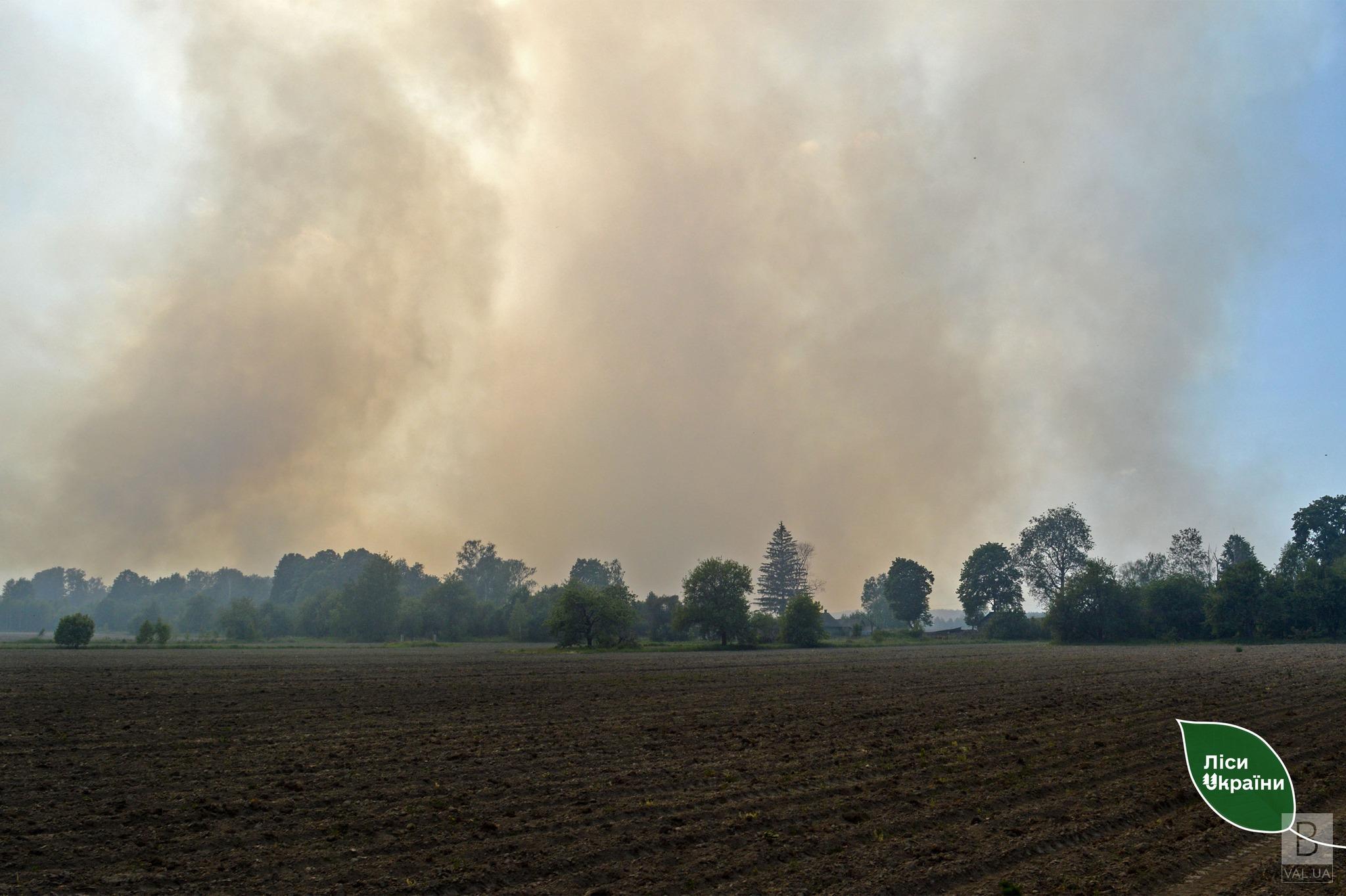  На прикордонні Чернігівщини досі триває ліквідація лісової пожежі, яка зайнялася через обстріли