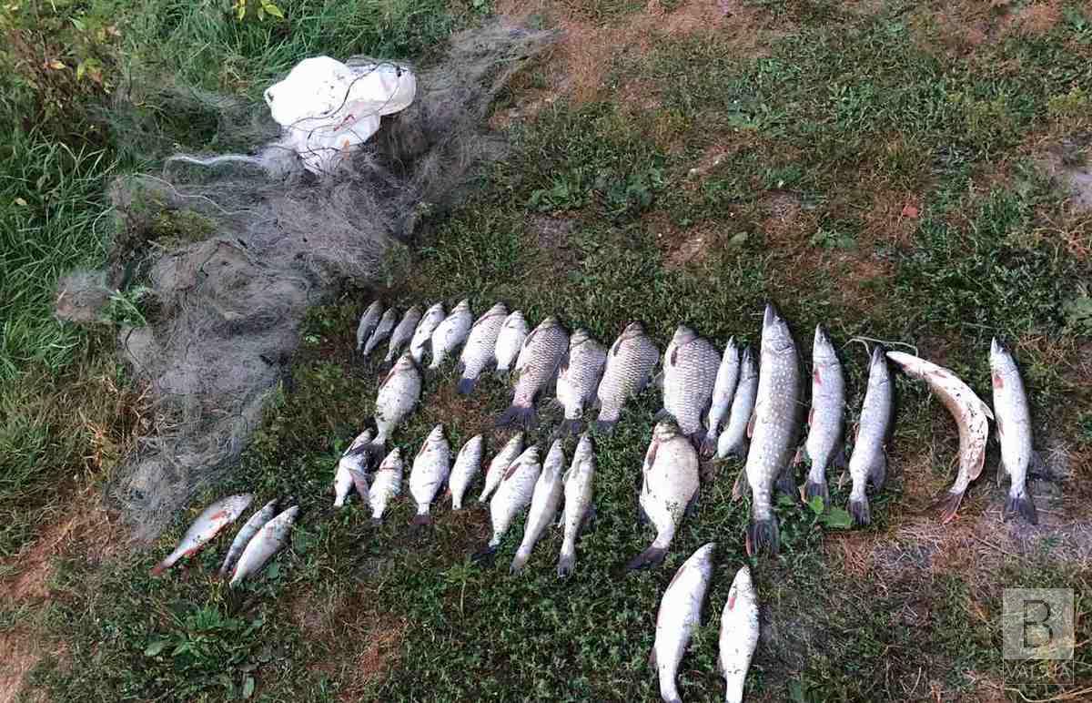 Житель Чернігівщини сплатить понад 70 тисяч за незаконну риболовлю