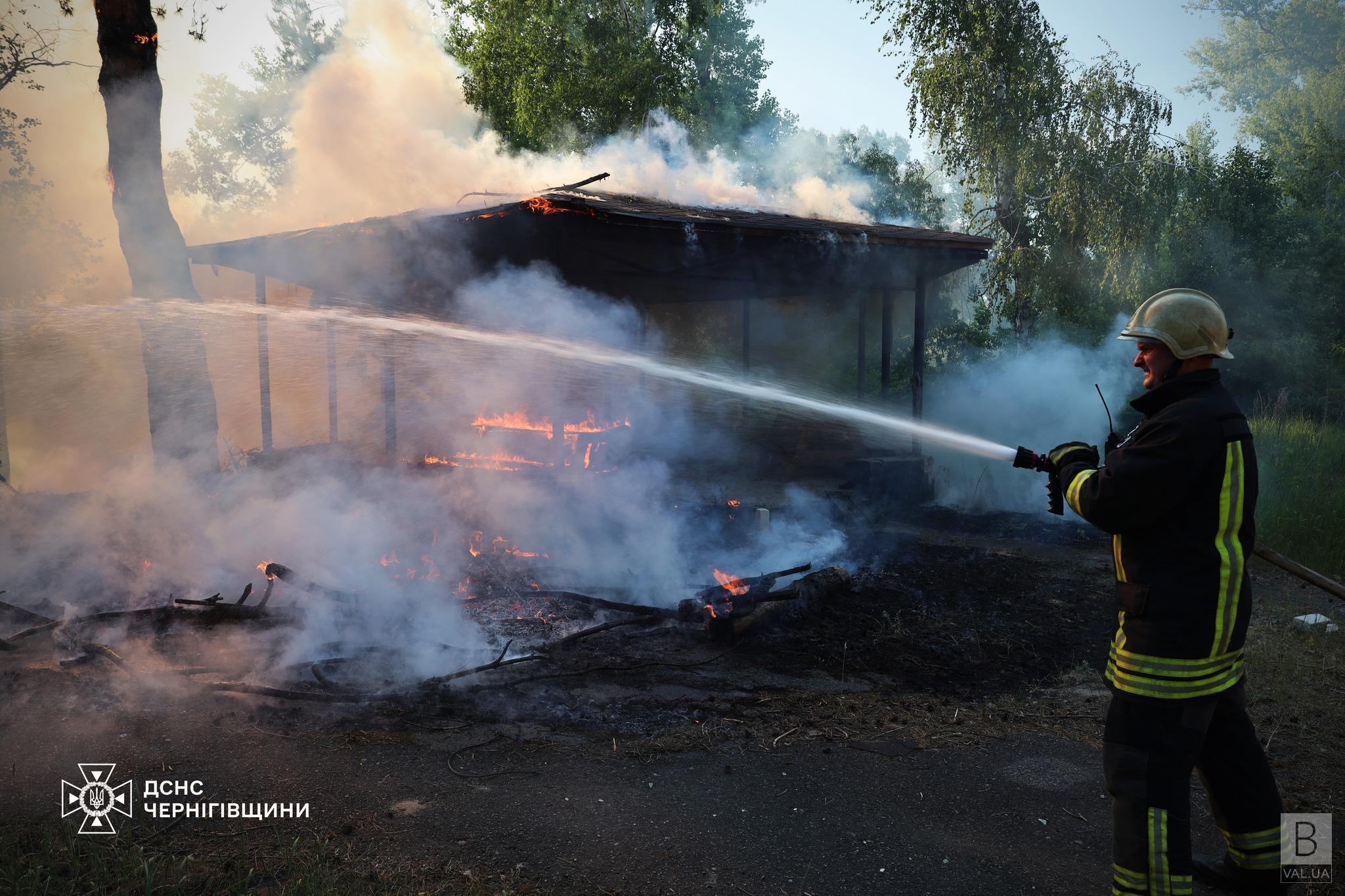 У лісі біля Чернігова загорілася трава на площі майже 1 гектар. ФОТО